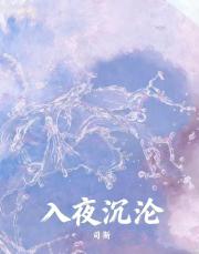 入夜沉沦