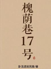 槐荫巷17号
