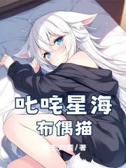叱咤星海布偶猫