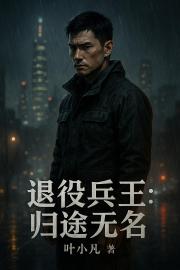 退役兵王：归途无名