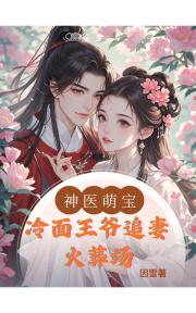 神医萌宝：冷面王爷追妻火葬场