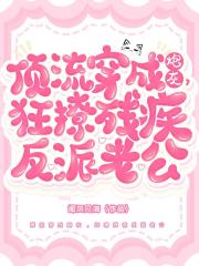 顶流穿成炮灰，狂撩残疾反派老公