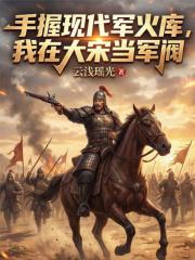 手握现代军火库，我在大宋当军阀