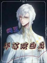 网王：平等院白鸟