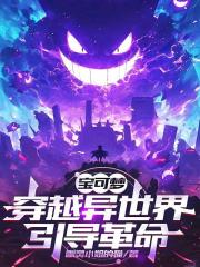 宝可梦：穿越异世界引导革命