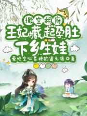 搬空相府，王妃藏起孕肚下乡生娃