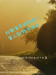 红颜薄命四部曲一第三部野草疯长