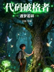 代码破格者