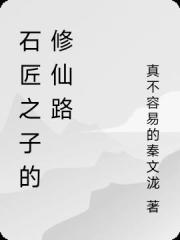 石匠之子的修仙路