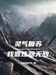 灵气复苏：我靠炼器无敌