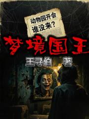梦境国王